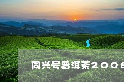 同兴号普洱茶2008/2023080277171