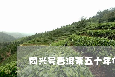 同兴号普洱茶五十年代报价/2023051118583