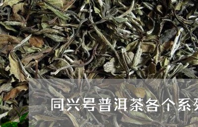 同兴号普洱茶各个系列/2023120615072