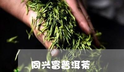 同兴富普洱茶/2023042767664