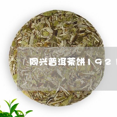 同兴普洱茶饼1921/2023100660484