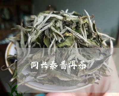 同兴泰普洱茶/2023042525181