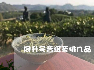 同升号普洱茶排几品/2023082961605