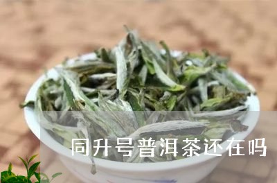 同升号普洱茶还在吗/2023071127371