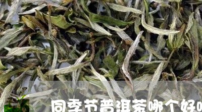 同季节普洱茶哪个好喝/2023080214030