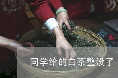 同学给的白茶整没了/2023071639470