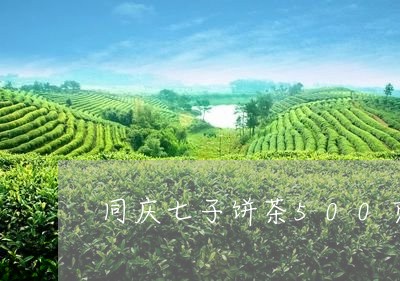 同庆七子饼茶500克/2023071518470