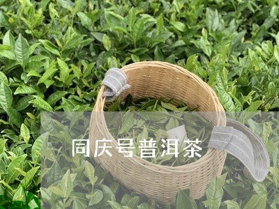 同庆号普洱茶/2023042922686