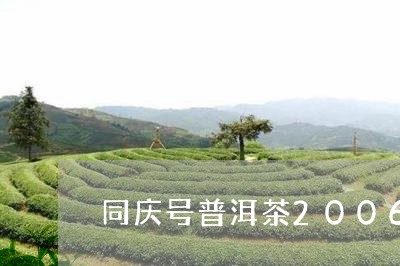 同庆号普洱茶2006/2023080384850