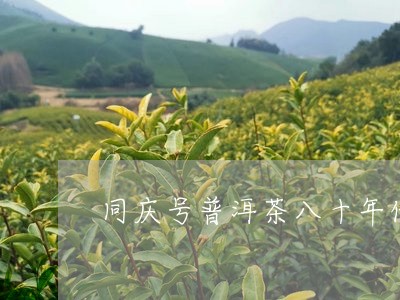 同庆号普洱茶八十年代/2023061503938