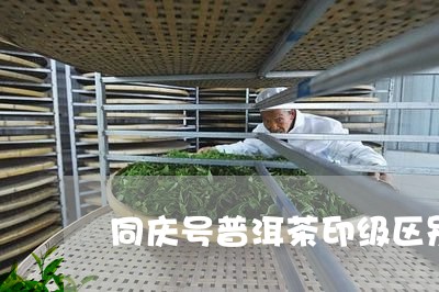 同庆号普洱茶印级区别/2023072492724