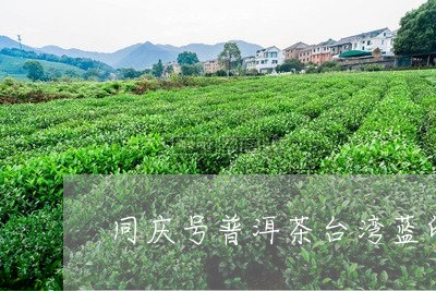 同庆号普洱茶台湾蓝印/2023080299695