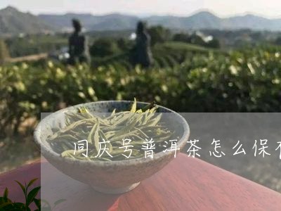 同庆号普洱茶怎么保存/2023100693625