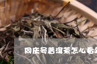 同庆号普洱茶怎么看年份/2023110511693