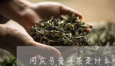 同庆号普洱茶是什么味/2023093018483