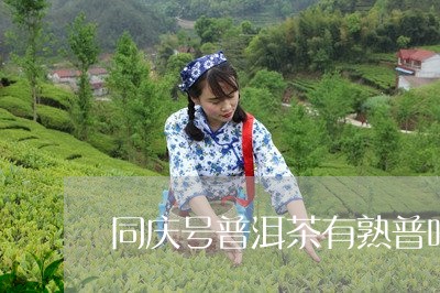 同庆号普洱茶有熟普吗/2023061773027