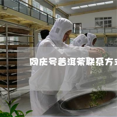 同庆号普洱茶联系方式/2023092952703