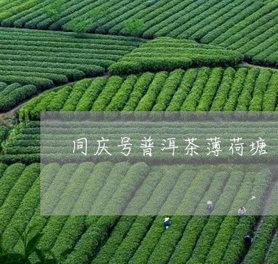 同庆号普洱茶薄荷塘/2023112579472