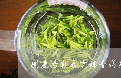 同庆号朝天贡瑞普洱茶/2023062117281