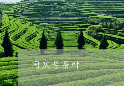 同庆号茶叶/2023041794257