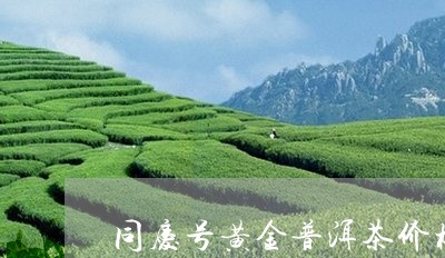 同庆号黄金普洱茶价格及图片/2023052929512