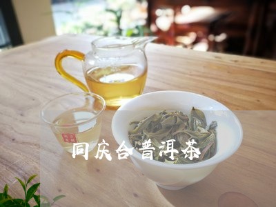 同庆合普洱茶/2023042638414