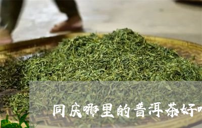 同庆哪里的普洱茶好喝/2023062726361