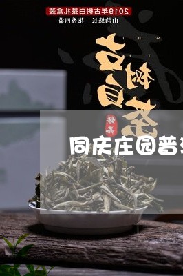 同庆庄园普洱茶怎么样啊/2023110483048