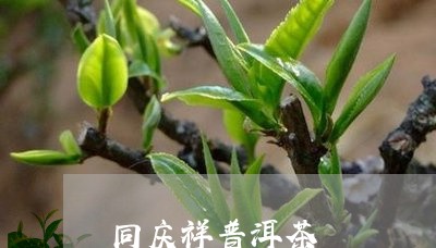 同庆祥普洱茶/2023042855487