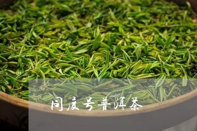 同度号普洱茶/2023042696048