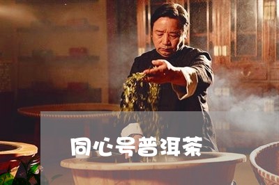 同心号普洱茶/2023042965596