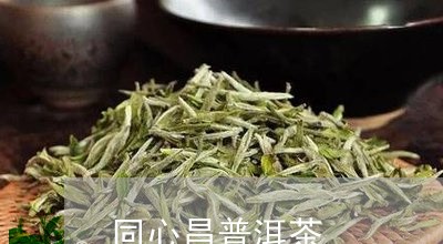 同心昌普洱茶/2023042621963