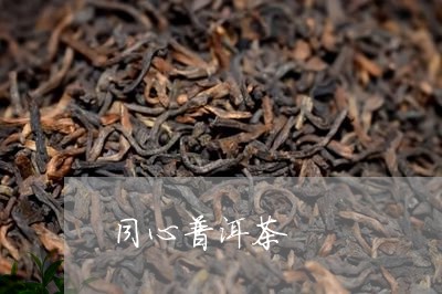 同心普洱茶/2023090694737