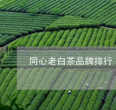 同心老白茶品牌排行/2023121845827