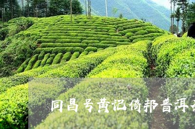 同昌号黄记倚邦普洱茶/2023092772593