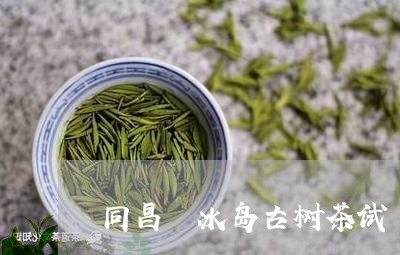 同昌號冰岛古树茶试暍/2023092303836