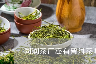 同润茶厂还有普洱茶吗/2023092910713