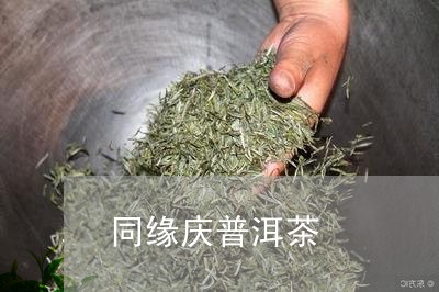 同缘庆普洱茶/2023042889035