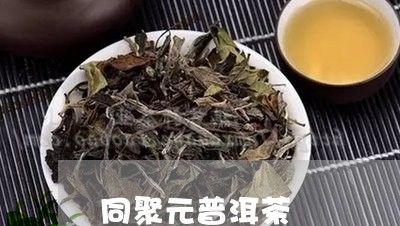 同聚元普洱茶/2023042698378