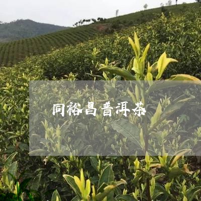 同裕昌普洱茶/2023082633826