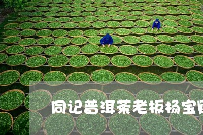 同记普洱茶老板杨宝财/2023092739273