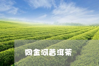 同金河普洱茶/2023042542092