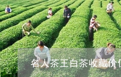 名人茶王白茶收藏价值/2023123175037
