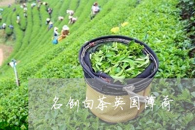 名创白茶英国薄荷/2023061339571