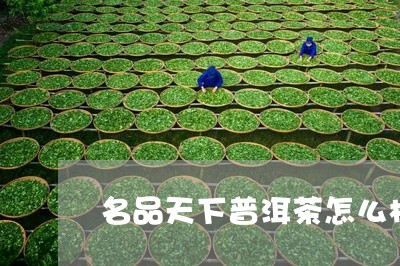 名品天下普洱茶怎么样好喝吗/2023052831695