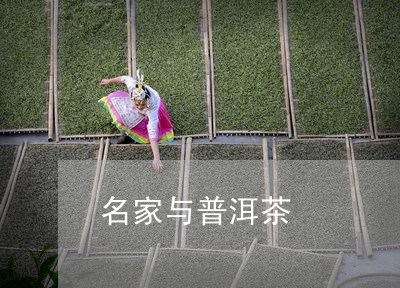 名家与普洱茶/2023042899872