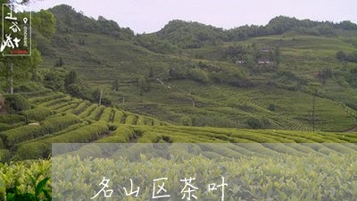 名山区茶叶/2023090285948