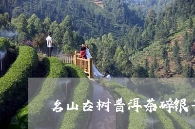 名山古树普洱茶碎银子/2023062269403