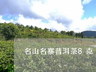 名山名寨普洱茶8克/2023081654806