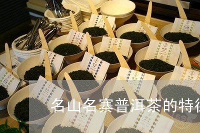 名山名寨普洱茶的特征/2023062178582